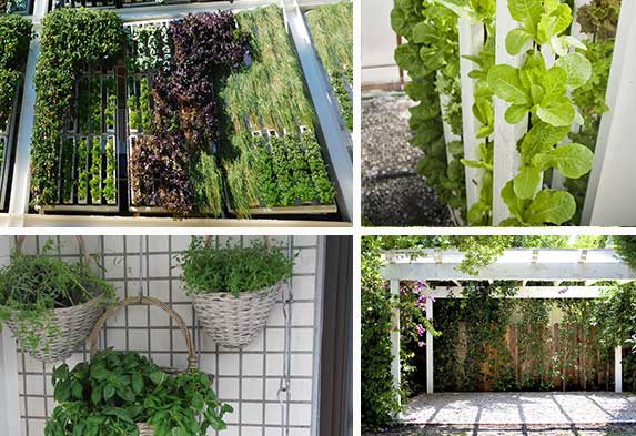 Post ideas para hacer un jardín Jardines verticales Muros Verdes Neea Flora